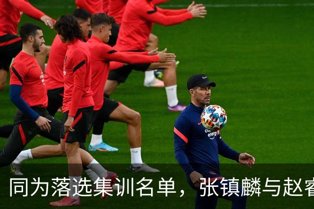 同为落选集训名单，张镇麟与赵睿的境遇差异何在？